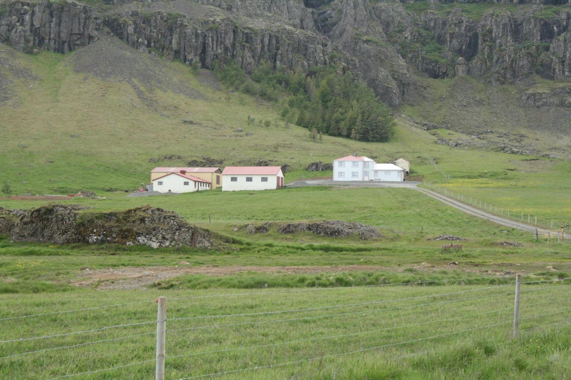 Guesthouse Stekkatun Skálafell Exteriér fotografie